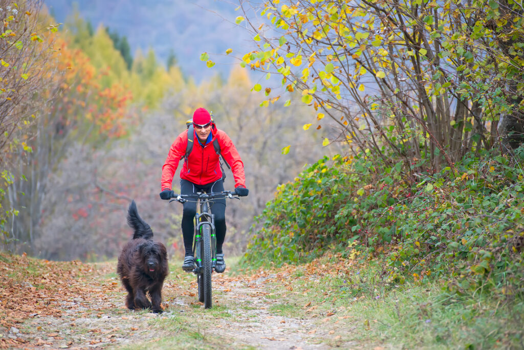 Mann auf einem Fahrrad mit ihrem Hund auf der Straße im Wald