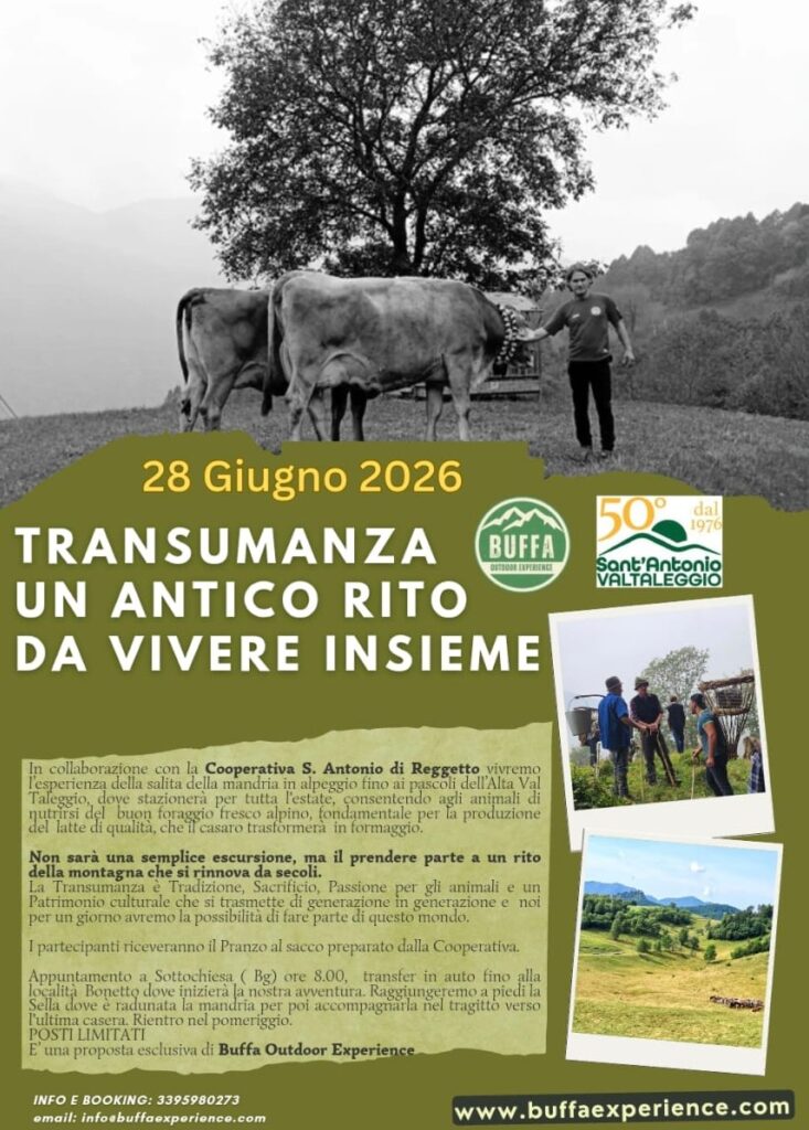 transumanza