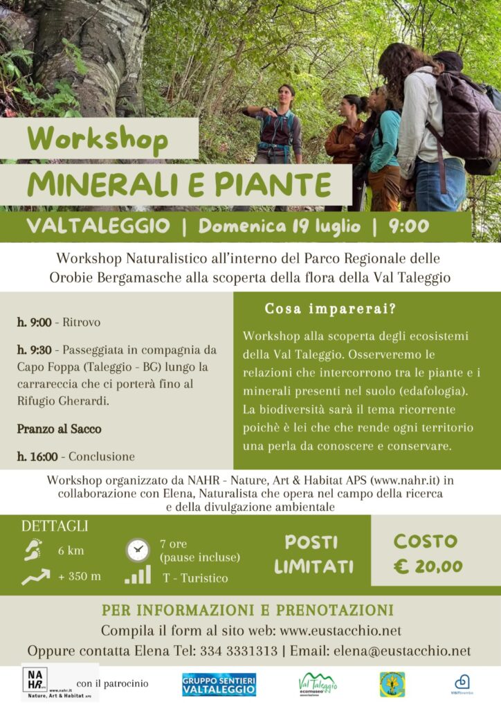 WhatsApp Image 2026-06-03 at 18.39.03