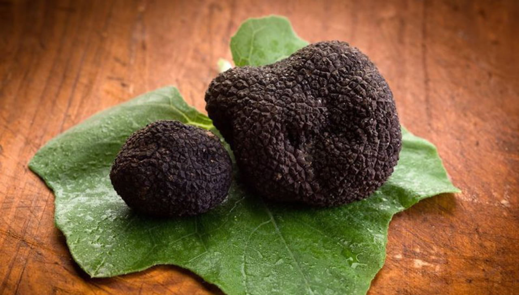 Festa del tartufo nero di Bracca