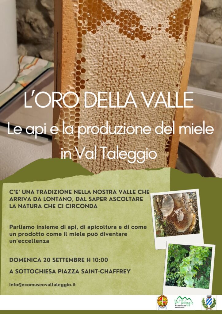 L’oro della valle: leali e la produzione del miele in Val Taleggio