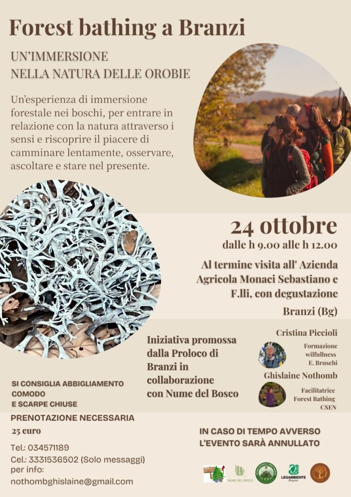locandina bagno di foresta ottobre 26