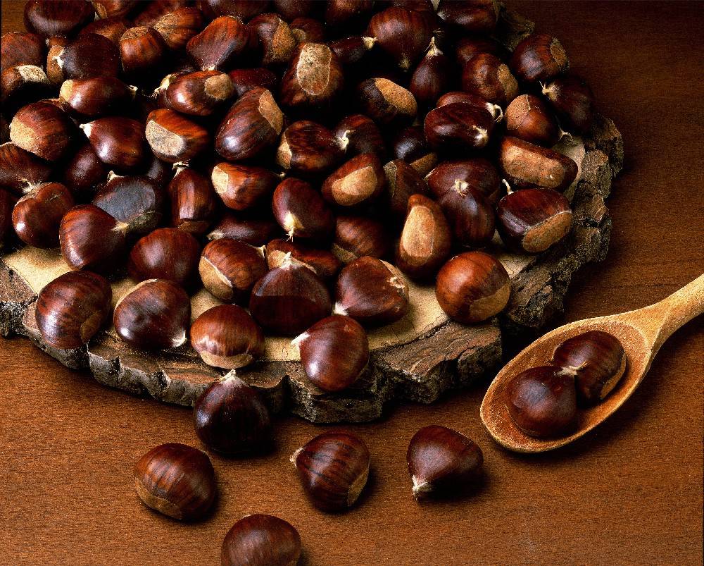 Festa delle Castagne